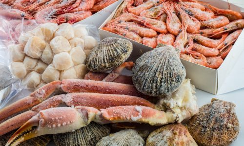 consumo-de-pescado-y-marisco-congelado-aumenta-en-España